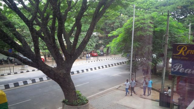 View from the second floor of the Peacock Restaurant.  Mohan knows people here.  Mohan knows people everywhere.  If you need something in Bangalore, just say "Mohan sent me."  Best baby corn starters in town, in this guy's humble opinion.
