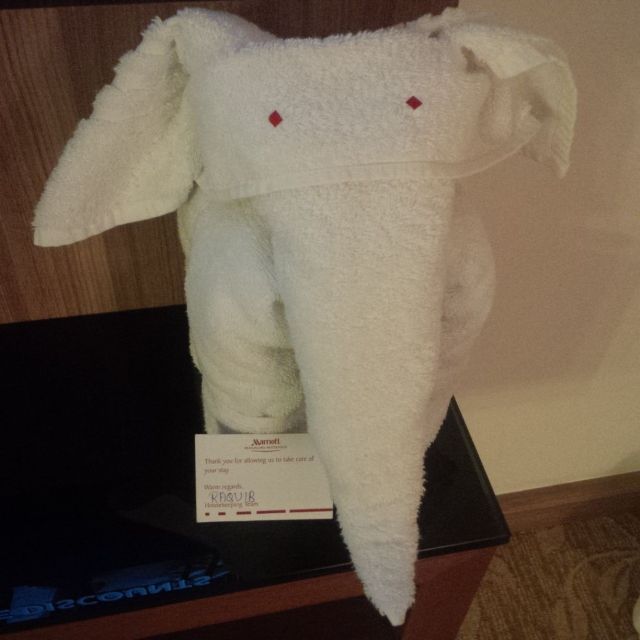 Upon return to the Marriott I found a Towel Elephant, courtesy of my room attendant Raquib.  Awww...