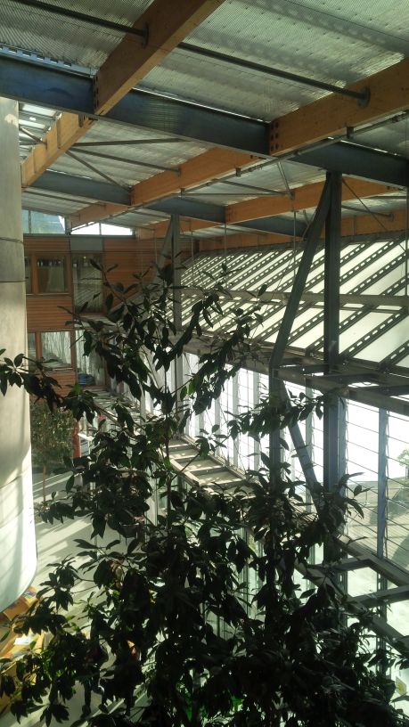 Inside The Exchange at Nottingham's Jubilee campus.