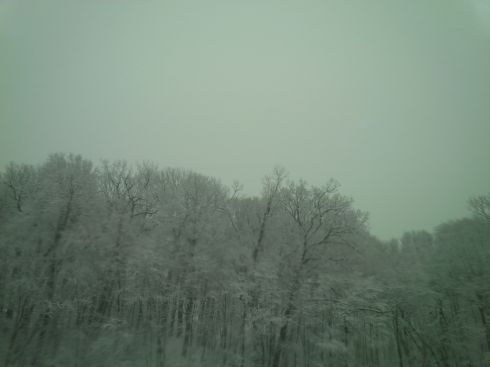Snow covered trees in Connecticut.  Say, it's winter in Bangalore, too.  Wonder what the snowfall total is there?