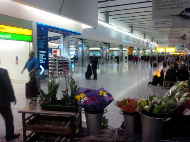 Hey... who's that dashing flower in the distance?