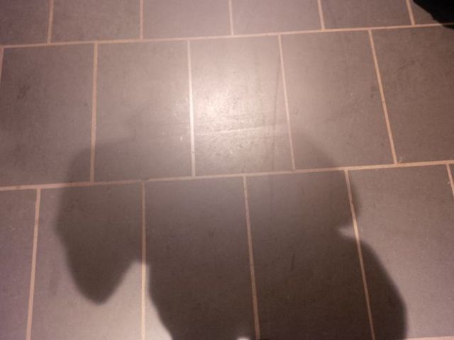 The shadow knows it's gonna be stretching out on this flight. Yay!