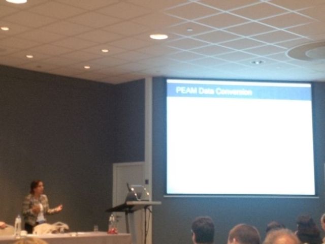 Nilgun from UK team presents.