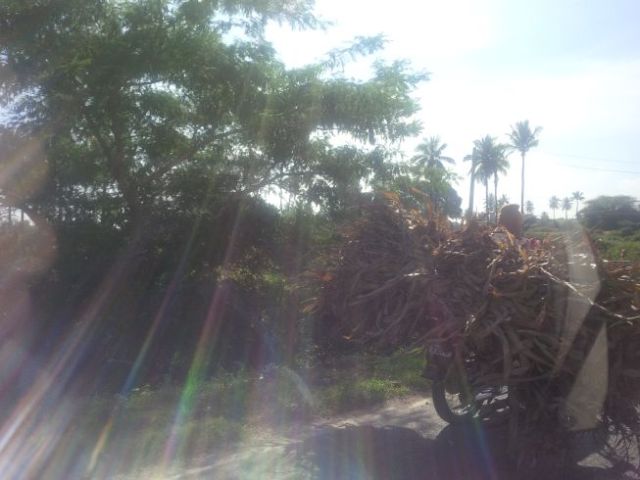 Crazy guys on motorcycles carrying big bales of stuff.