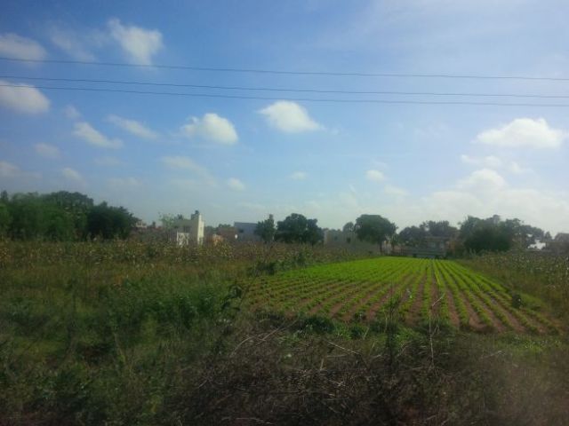 Farms. I knew there were farms but had yet to see any.