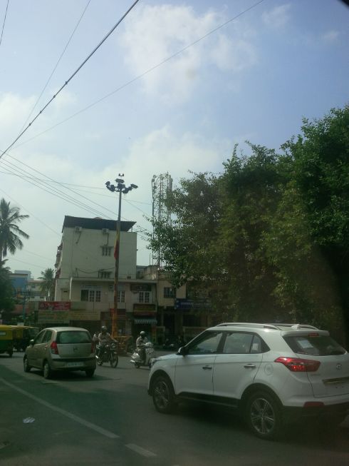 Then we headed to the Bull Temple.