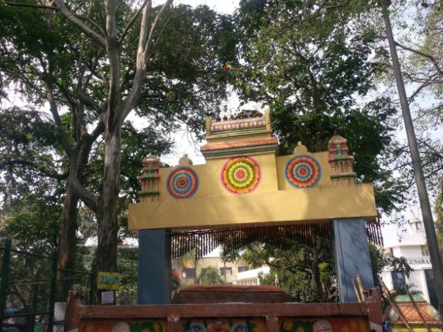 Wandering the temple area grounds.