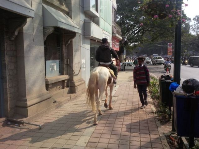 Here's one alternate to the crazy traffic!